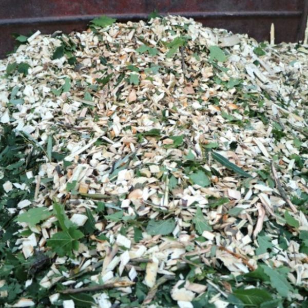 Щеоріз МК-100БД